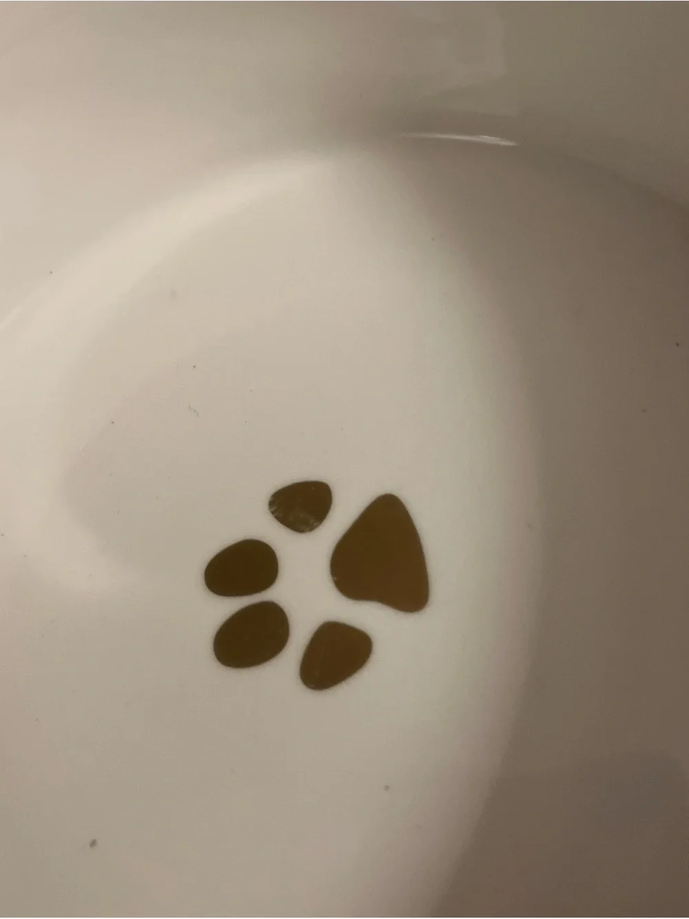 Fido's Diner Ceramic Water and Food Bowl Set White Gray Dots and Gold Rim